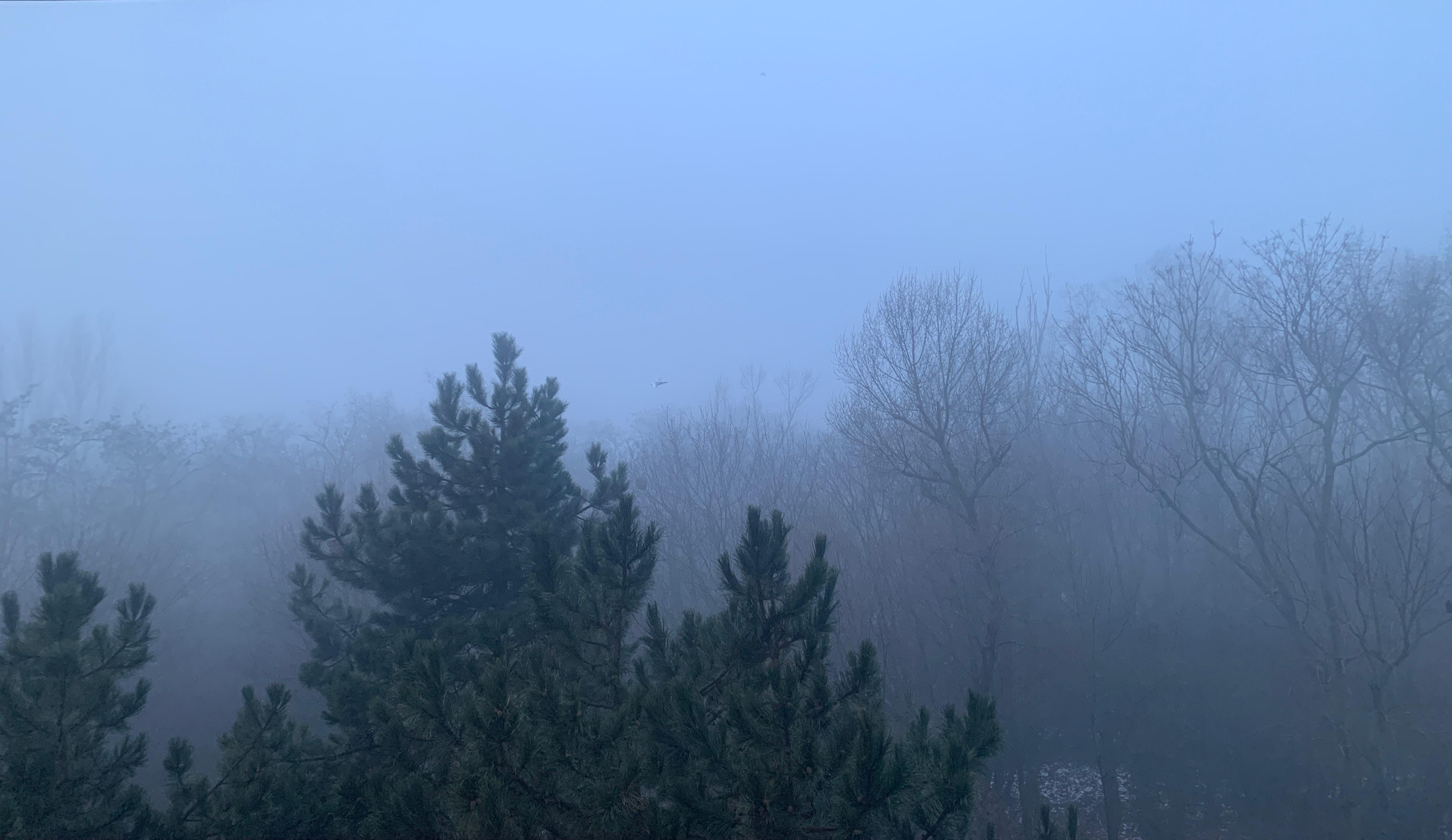 Davor fürchtet sich Österreich